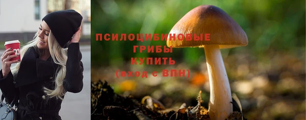прущая мука Инсар