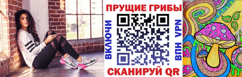 Псилоцибиновые грибы Cubensis маркетплейс какой сайт Починок купить цена