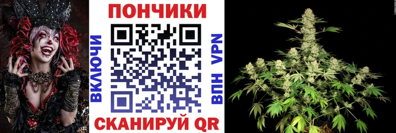 где найти наркотики  Починок  Каннабис гибрид 